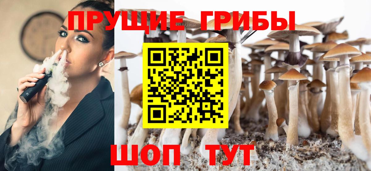 Галлюциногенные грибы прущие грибы Дедовск