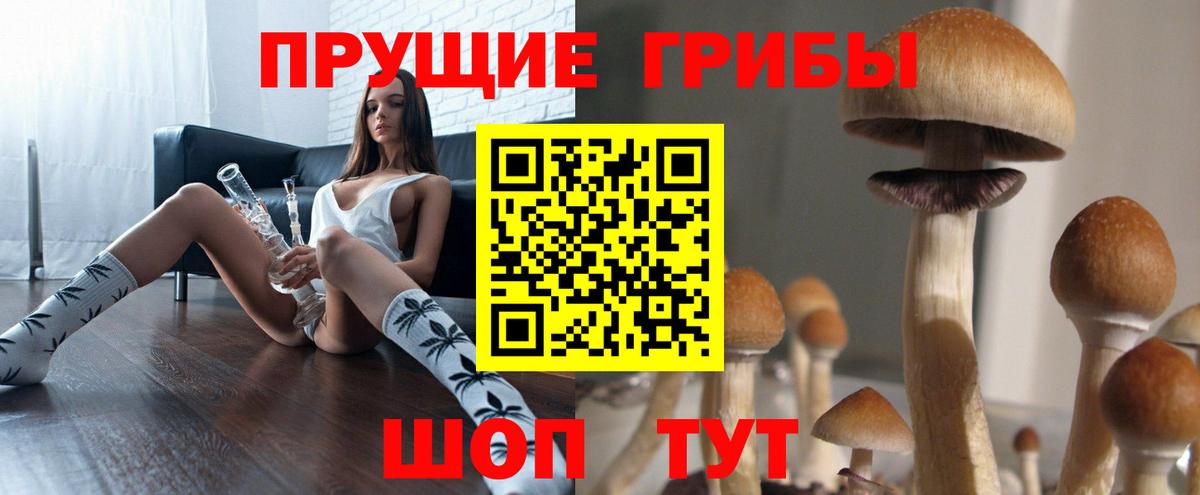 Галлюциногенные грибы Psilocybe  Вход с VPN  Дедовск 