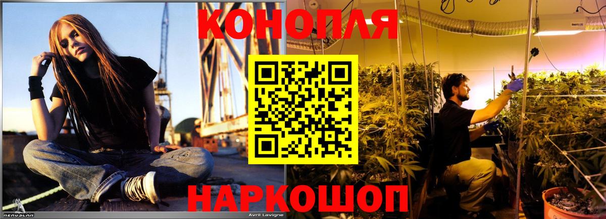 Бошки Шишки сатива Дедовск
